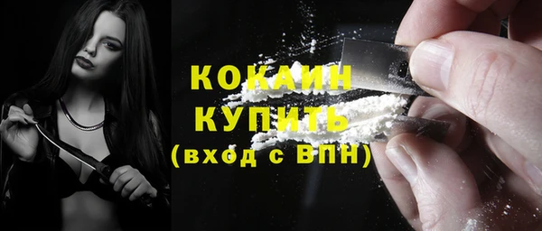шишки Арсеньев