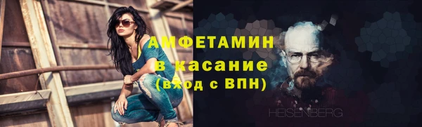 шишки Арсеньев