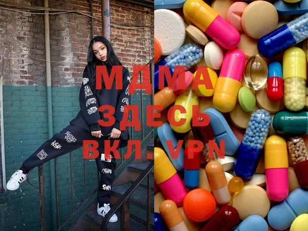 гашик Алексин