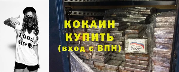 гашик Алексин