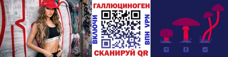 магазин продажи   kraken сайт  Псилоцибиновые грибы Psilocybe  Сосновый Бор 